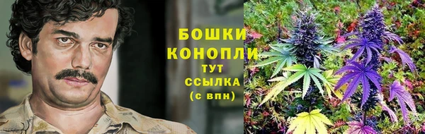 гашиш Белокуриха