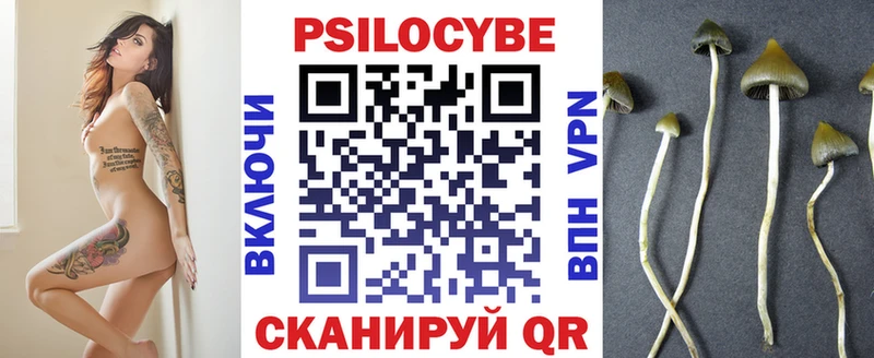 Псилоцибиновые грибы GOLDEN TEACHER  где продают наркотики  МЕГА зеркало  Дагестанские Огни 