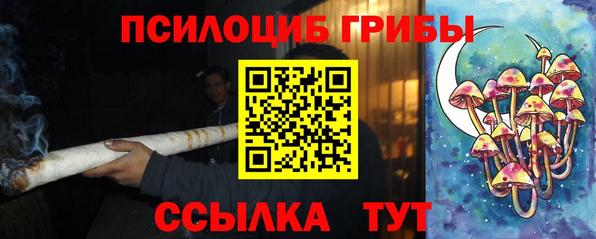 Дагестанские Огни  Галлюциногенные грибы Psilocybine cubensis  Вход с VPN 